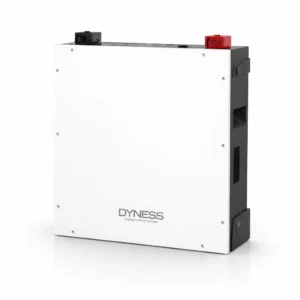 Dyness Pro 5KWh 100Ah Lithium Battery IP20